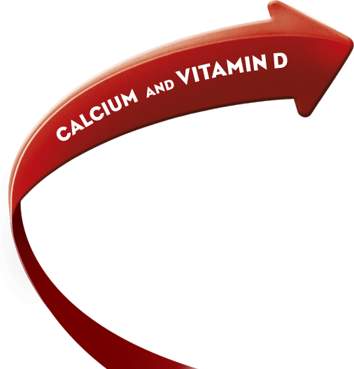 Alaska Fortified Powdered Milk Drink